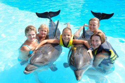 плавание с дельфинами. Дельфинарий в Шарм-эль-Шейх