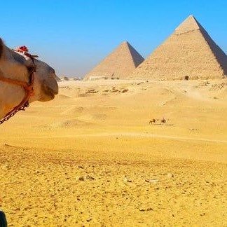 экскурсия на пирамиды. Каир
